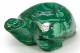 Flowery, Malachite Turtle Carving - DR Congo #317782-1